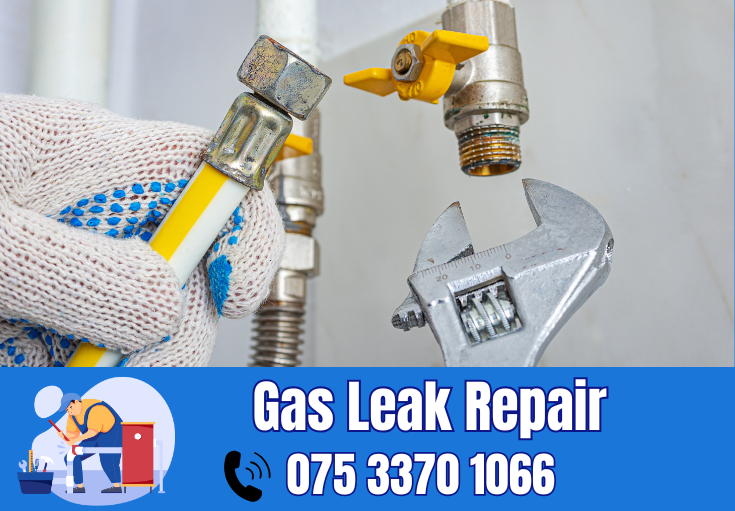 gas leak repair Erith