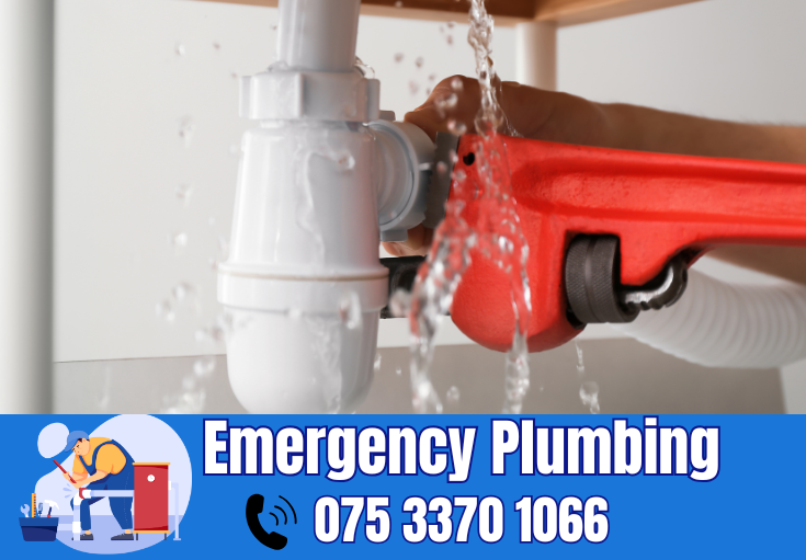  plumber Northumberland Heath