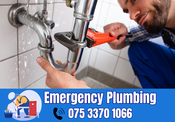  plumber Slade Green