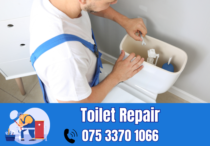 toilet repair Erith